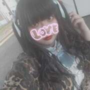 ヒメ日記 2025/04/16 07:45 投稿 るか 君とふわふわプリンセスin川越