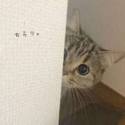 ヒメ日記 2026/04/11 23:53 投稿 るな 立川女学園