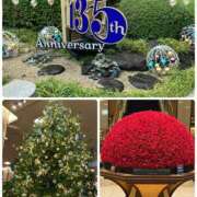 ヒメ日記 2025/12/14 11:14 投稿 みほ 奥鉄オクテツ東京店（デリヘル市場）