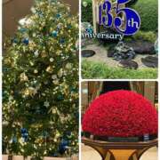 ヒメ日記 2025/12/21 13:31 投稿 みほ 奥鉄オクテツ東京店（デリヘル市場）