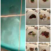 ヒメ日記 2026/01/18 14:48 投稿 みほ 奥鉄オクテツ東京店（デリヘル市場）