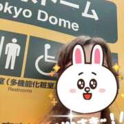 ヒメ日記 2026/05/26 21:48 投稿 みほ 奥鉄オクテツ東京店（デリヘル市場）