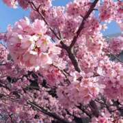 ヒメ日記 2025/04/06 09:02 投稿 みさき 渋谷 風俗 いきなりビンビン伝説