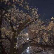 ヒメ日記 2025/04/12 22:50 投稿 みさき 渋谷 風俗 いきなりビンビン伝説