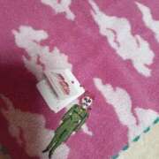 ヒメ日記 2024/12/21 11:02 投稿 アリス AMOUR（アムール）