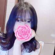 ヒメ日記 2025/04/02 16:00 投稿 アリス AMOUR（アムール）