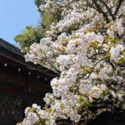 ヒメ日記 2025/05/02 12:58 投稿 アリス AMOUR（アムール）