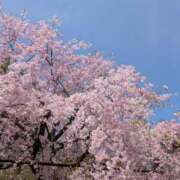 ヒメ日記 2025/07/05 01:20 投稿 アリス AMOUR（アムール）