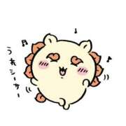 ヒメ日記 2025/08/24 23:15 投稿 アリス AMOUR（アムール）