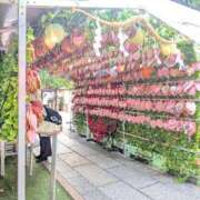 ヒメ日記 2025/09/04 10:30 投稿 アリス AMOUR（アムール）