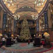 ヒメ日記 2025/11/26 07:15 投稿 アリス AMOUR（アムール）