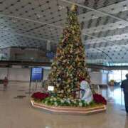 ヒメ日記 2025/12/07 22:16 投稿 アリス AMOUR（アムール）