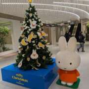 ヒメ日記 2025/12/28 00:44 投稿 アリス AMOUR（アムール）