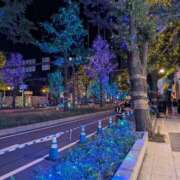 ヒメ日記 2026/02/21 07:15 投稿 アリス AMOUR（アムール）