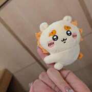 ヒメ日記 2026/03/03 17:58 投稿 アリス AMOUR（アムール）