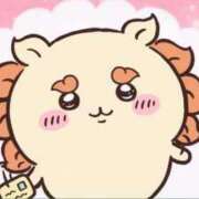 ヒメ日記 2026/04/02 07:33 投稿 アリス AMOUR（アムール）