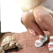 ヒメ日記 2025/07/29 12:22 投稿 七海(ななみ) 女々艶 大和店