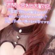 ヒメ日記 2025/04/20 07:59 投稿 いおり 11チャンネル