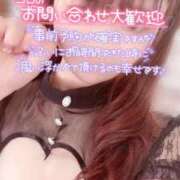 ヒメ日記 2025/11/03 07:48 投稿 いおり 11チャンネル