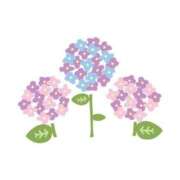 ヒメ日記 2025/06/22 20:34 投稿 つくし 萌えカワ