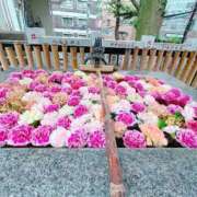 ヒメ日記 2025/05/19 18:09 投稿 あきら sweet kiss