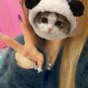 ヒメ日記 2024/12/21 01:23 投稿 みゆう ドMバスターズ岡崎・安城・豊田店