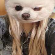 ヒメ日記 2025/02/20 21:44 投稿 みゆう ドMバスターズ岡崎・安城・豊田店