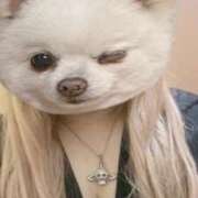 ヒメ日記 2025/03/11 23:14 投稿 みゆう ドMバスターズ岡崎・安城・豊田店