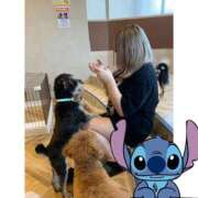 ヒメ日記 2025/09/25 19:03 投稿 みゆう ドMバスターズ岡崎・安城・豊田店