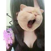 みゆう 🈳 13:30〜 ドMバスターズ岡崎・安城・豊田店