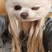 ヒメ日記 2026/04/20 17:33 投稿 みゆう ドMバスターズ岡崎・安城・豊田店