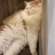 ヒメ日記 2026/02/26 14:18 投稿 花江(はなえ) 八王子人妻城