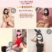 ヒメ日記 2025/11/14 10:02 投稿 ゆめ コスパラ