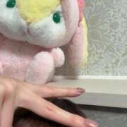 ヒメ日記 2025/04/01 10:40 投稿 ひまり 若葉