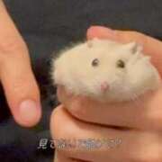 ヒメ日記 2025/06/27 20:29 投稿 よぞら マリン宇都宮店