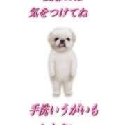 よぞら 大横転人生 マリン宇都宮店