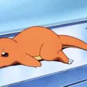 よぞら 無断キャンセル マリン宇都宮店