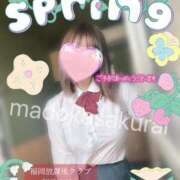 ヒメ日記 2025/04/04 12:30 投稿 桜井 まどか ハレ系 放課後クラブ