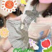 ヒメ日記 2025/04/13 08:45 投稿 桜井 まどか ハレ系 放課後クラブ