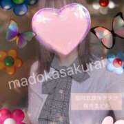 ヒメ日記 2025/04/15 12:30 投稿 桜井 まどか ハレ系 放課後クラブ