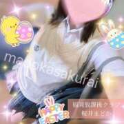 ヒメ日記 2025/05/02 12:32 投稿 桜井 まどか ハレ系 放課後クラブ