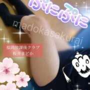 ヒメ日記 2025/06/13 12:00 投稿 桜井 まどか ハレ系 放課後クラブ