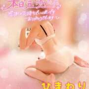 ヒメ日記 2025/09/13 22:31 投稿 ヒマワリ ソープランド マックス