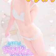 ヒメ日記 2025/12/12 08:18 投稿 ヒマワリ ソープランド マックス