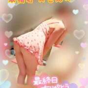 ヒメ日記 2025/12/31 14:11 投稿 ヒマワリ ソープランド マックス