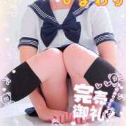 ヒマワリ ご予約完売💖 ソープランド マックス