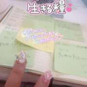 ヒメ日記 2025/02/06 12:25 投稿 のい 栃木宇都宮ちゃんこ