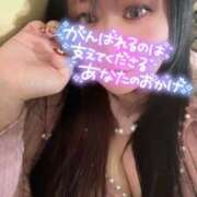 ヒメ日記 2025/02/14 00:35 投稿 のい 栃木宇都宮ちゃんこ