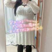 ヒメ日記 2025/02/14 16:15 投稿 のい 栃木宇都宮ちゃんこ