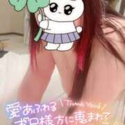 ヒメ日記 2025/04/03 13:55 投稿 のい 栃木宇都宮ちゃんこ